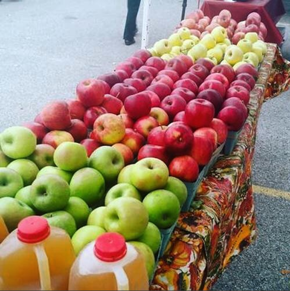 Embrace Autumn at Phil’s U-Pick Apple Orchard!