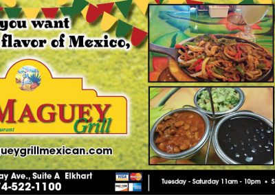 ElMaguey.MS.TP.11.25