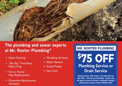 MrRooter.FP.Gosh.3.26