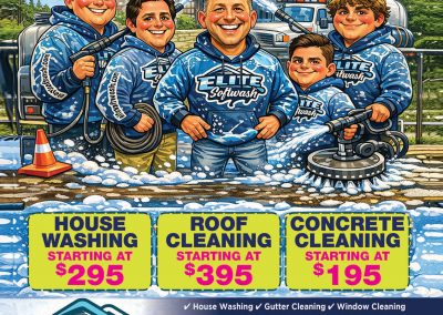 Elite Softwash-FP-MSFW.4.26