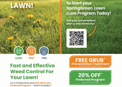 SpringGreen-FP-MS.4.26